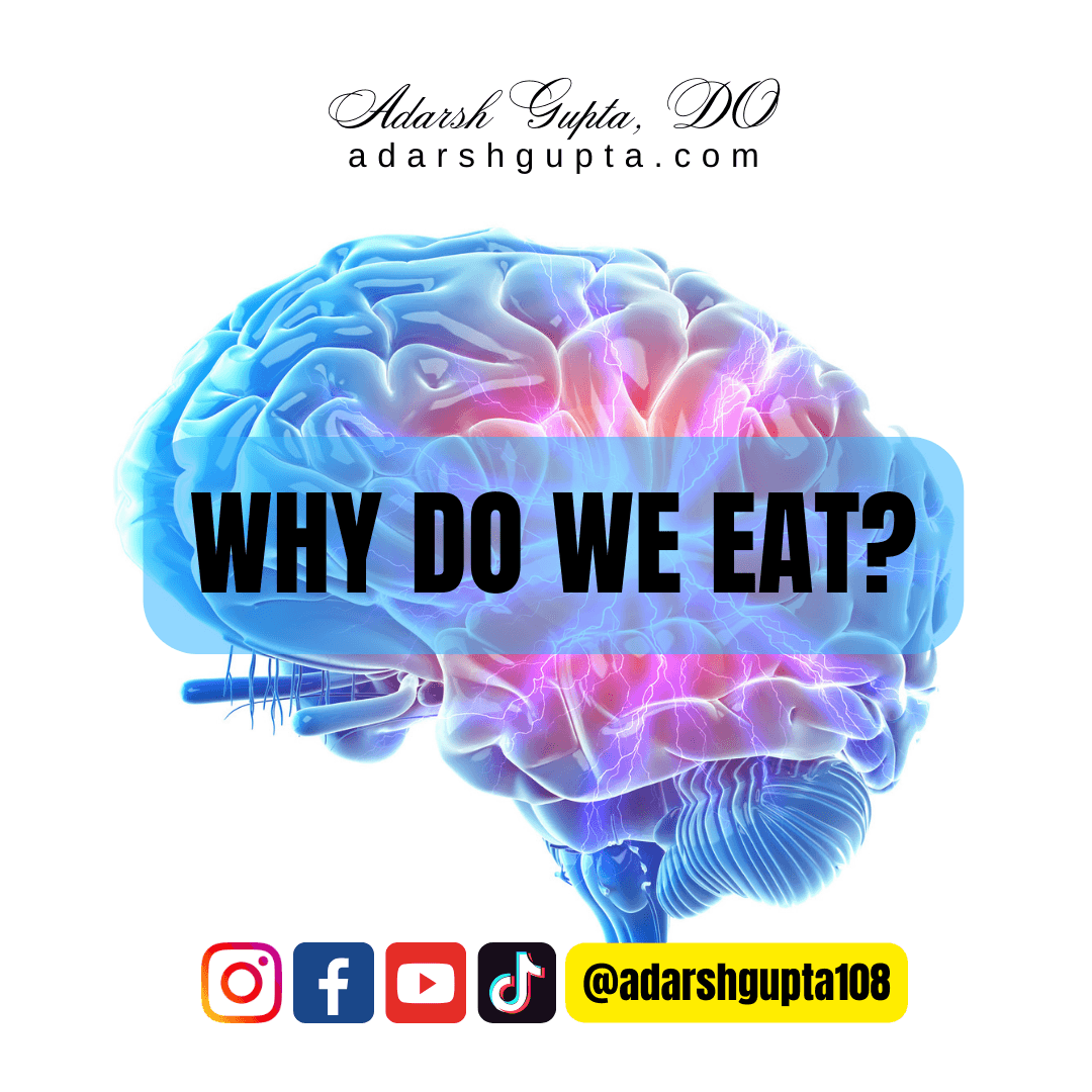 Why do we eat?
